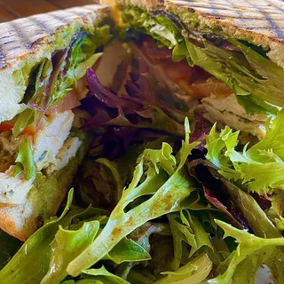 Chicken Pesto Panini