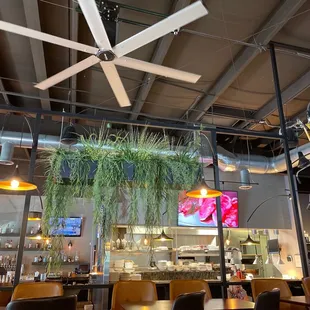 Nova Dolce Gastro Pub
