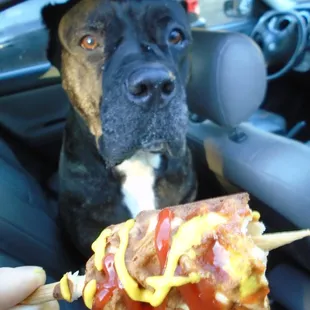 My 120 pound puppy LOVED her Puppy Dog waffle!