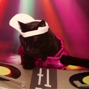 DJ Parker