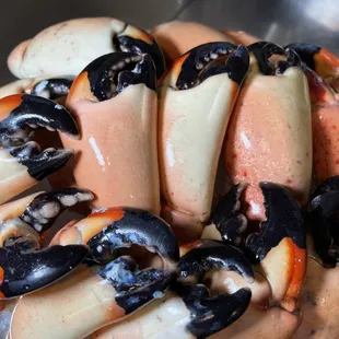  stone crab claws in a bowl