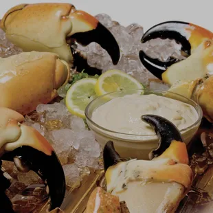 oysters and mussels, food, mussels, oysters, shellfish