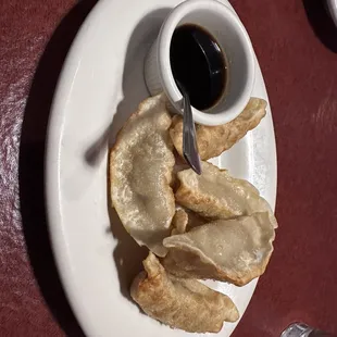 Pork fried dumplings