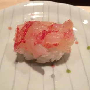 Maine lobster nigiri