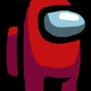 Sus