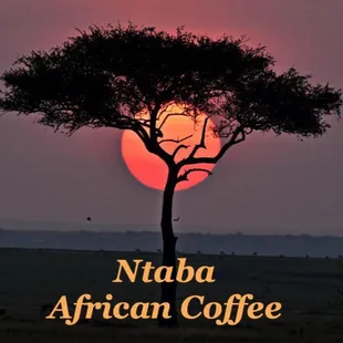 We are a new coffee house in Louisville, inspired by our South African and German heritage, Ntaba Coffee Haus