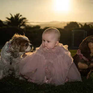 Baby with family pets photo.