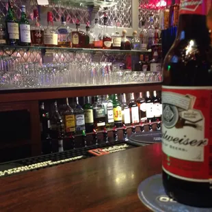 Liquor, beer, dive bar.