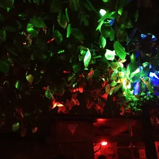 people sitting at a bar