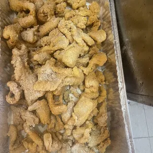 Cat fish nuggets