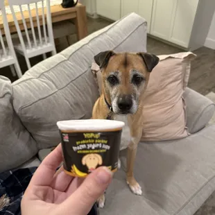 Dog pup treat!