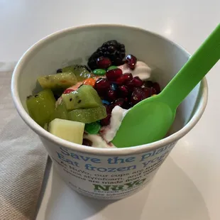 Pomegranate and regular yogurt swirl with kiwi, blackberries, pomegranate seeds and mini chocolate gems