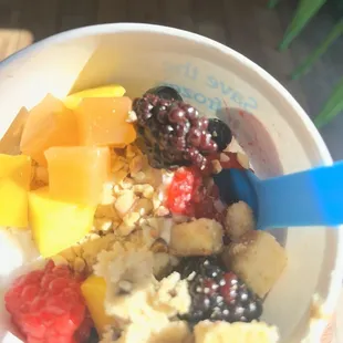 tart with fruit