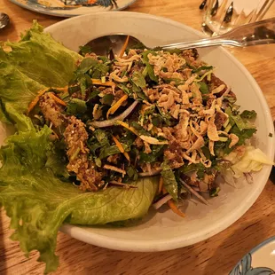 Duck Larb Salad