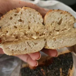 Cross section of a poppyseed bagel with harissa shmear. Highly recommend!