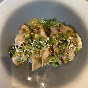 Gyoza Dumplings