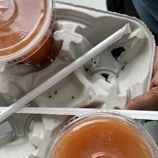 Mouse poop in their drink carriers.