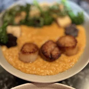 Coconut risotto with scallops
