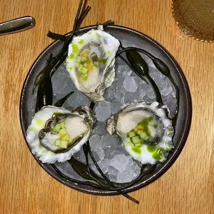 Fire Dragon Hamachi Raw Oysters Chili Dumplings