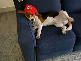 Bay Breeze Animal Clinic