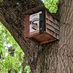 Little birdhouse in the tree out front.