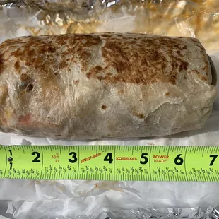 Good sized burrito