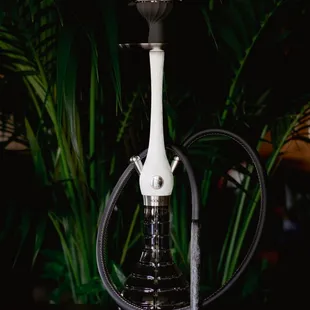 The best hookah in town