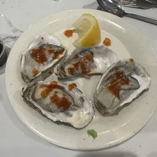 Oysters