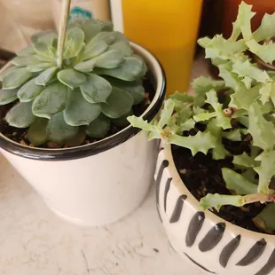 Number One Chinese Kitchen restaurant