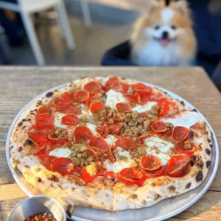 Pizza Speciale w/ organic tomato, house sausage, Ezzo&apos;s pepperoni, mozzarella, fennel pollen | $25 (five dog-friendly outdoor tables)