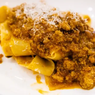 bolognese