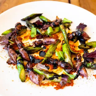 Seasonal Firefly Squid