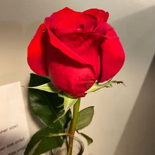 Always fresh flowers here