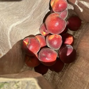 Sweet peaches