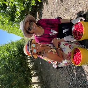 We had fun and laughed while picking