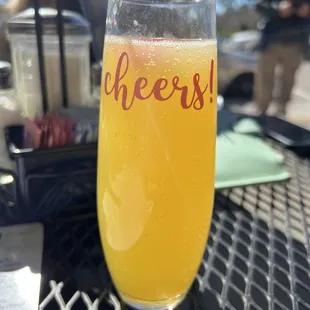 Dry Mimosa