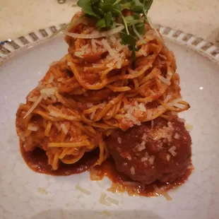 Spaghetti and meatball