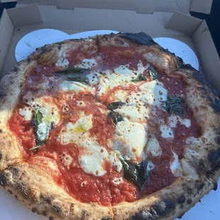 Margherita Pizza