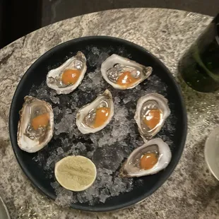 Oysters