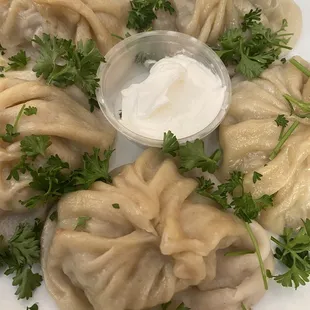 Meat Dumplings