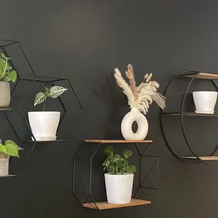 Nurture wall