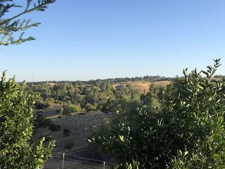 Morgan's of California Dried Fruits & N Nuts