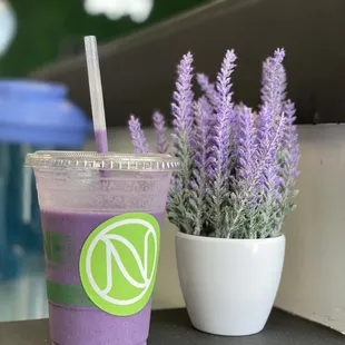 Purple Rain Smoothie