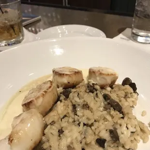 Scallops with mushroom risotto