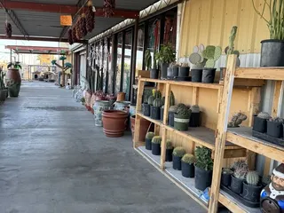 Xicali Imports