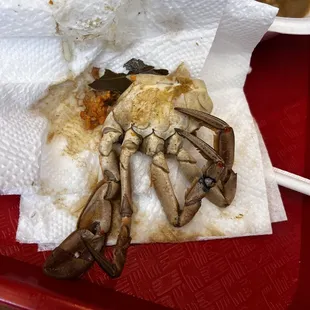 Crab legs and leaf