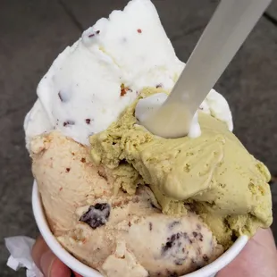 Medium-sized gelato, with Straciattela, Pistachio, and Nutty Squirrel