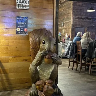 a squirrel eating nuts