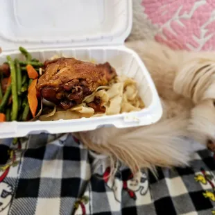 Lunch @Nuuanu Okazuya; 2/23/2024. Hubby David Smaller portion Lunch than mine?? &amp; he puts his Food too close to my Anela Bella :).