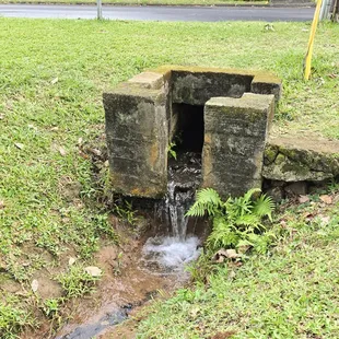 Little stream that kids like